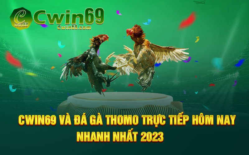 CWIN69 Và Đá Gà Thomo Trực Tiếp Hôm Nay Nhanh Nhất 2023