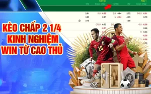 Kèo chấp 2 1/4 – Nắm bắt thông tin và kinh nghiệm thắng cược