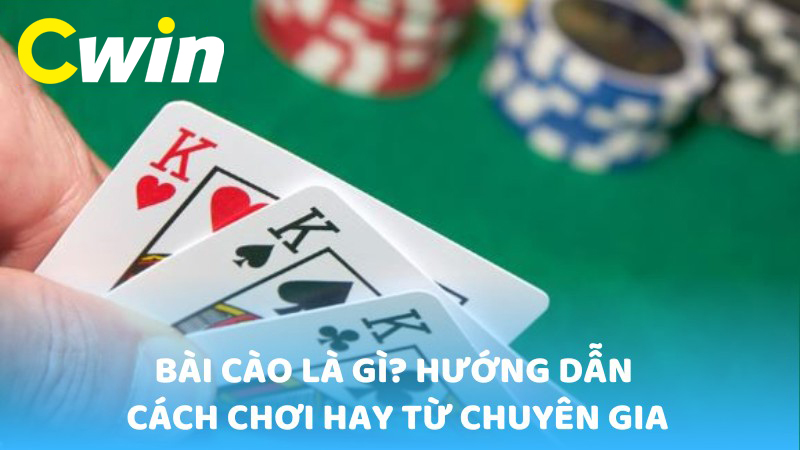 Giải mã chi tiết bài cào