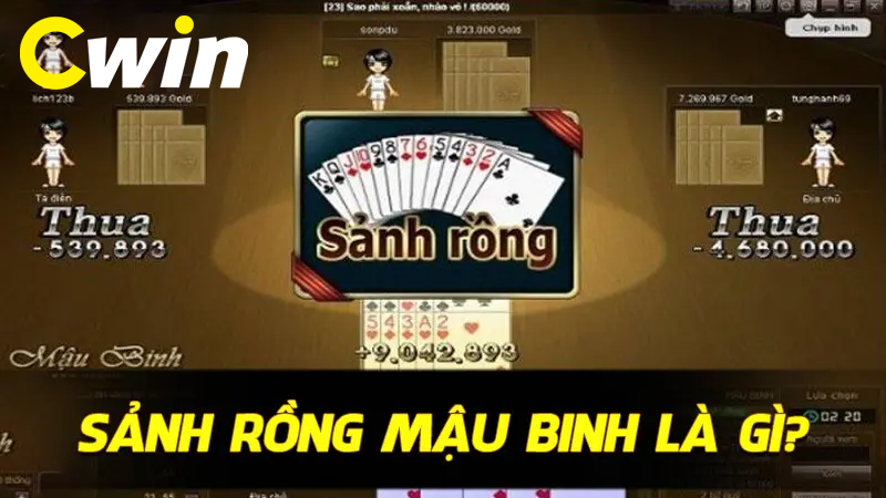 Sảnh Rồng Mậu binh là gì?