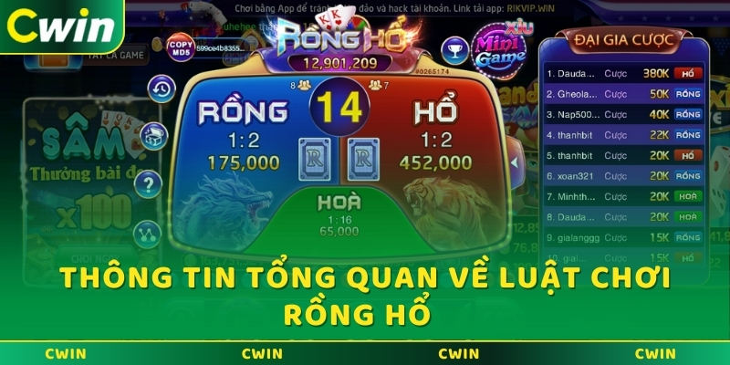 Thông tin tổng quan về luật chơi Rồng Hổ  