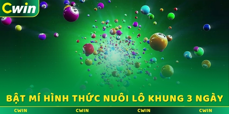 Bật mí hình thức nuôi lô khung 3 ngày