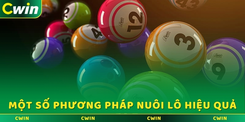 Một số phương pháp nuôi lô hiệu quả