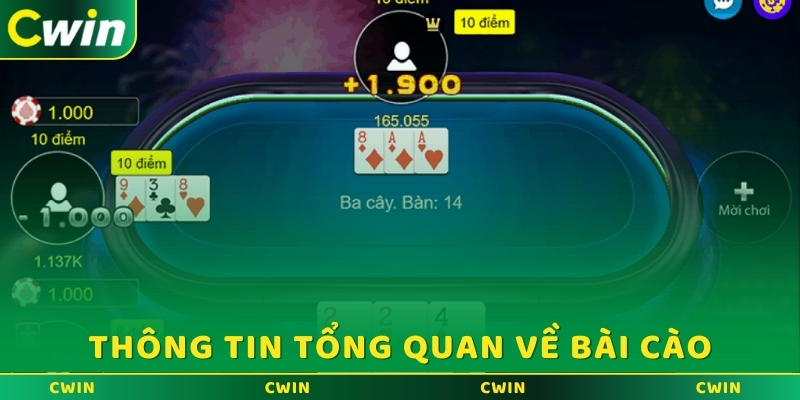 Thông tin tổng quan về bài cào